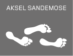 Aksel Sandemose
